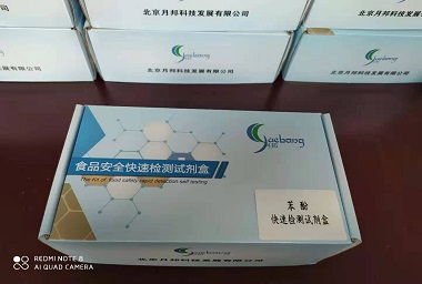 苯酚快速检测试剂盒