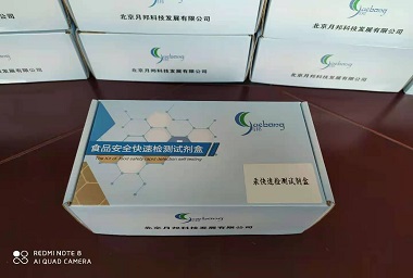 汞快速检测试剂盒